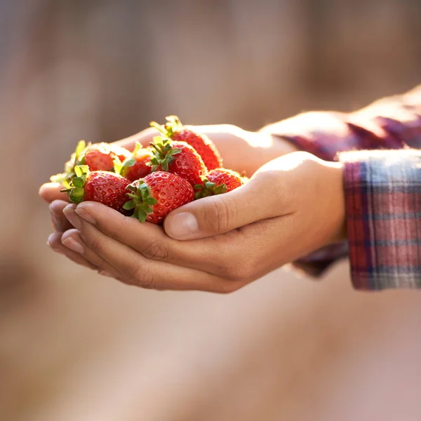 Nehmen Sie Ein Paar Erdbeeren Und Versüßen Sie Ihre Welt — Stockfoto