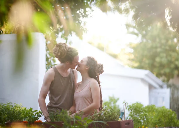 Přidávání Zeleně Jejich Vztahu Šťastný Mladý Pár Těší Den Zahradničení — Stock fotografie