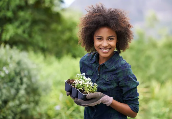 Готовий Посадки Портрет Щасливої Молодої Жінки Тримає Лоток Розсади Саду — стокове фото
