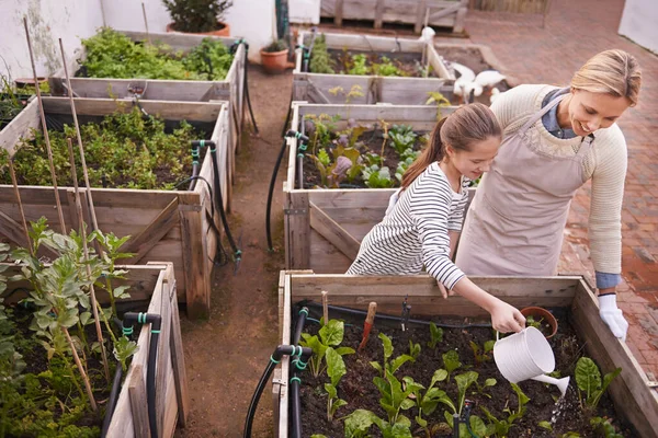 Hidup Sehat Melalui Berkebun Organik Satu Keluarga Berkebun Bersama — Stok Foto