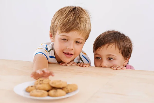 Reaching Prize Two Adorable Young Boys Peeking Out Cardboard Box — Stock Photo, Image
