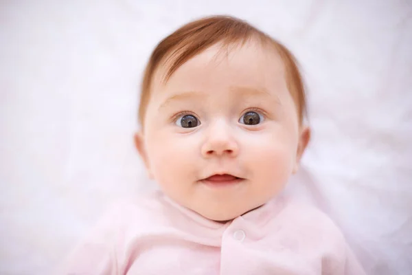 What Little Cutie Cropped Shot Adorable Baby Girl Lying Blanket — Stock Photo, Image