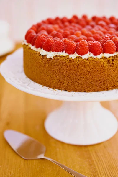 This cake speaks a thousand words. a delicious cheese cake topped with cream and fresh raspberries