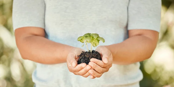 Kéz Növény Talaj Növekedéssel Kezében Egy Fenntarthatóság Fejlődés Egy Környezetbarát — Stock Fotó
