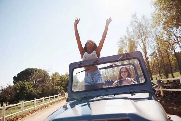 The freedom of the open road. two women looking free on a roadtrip