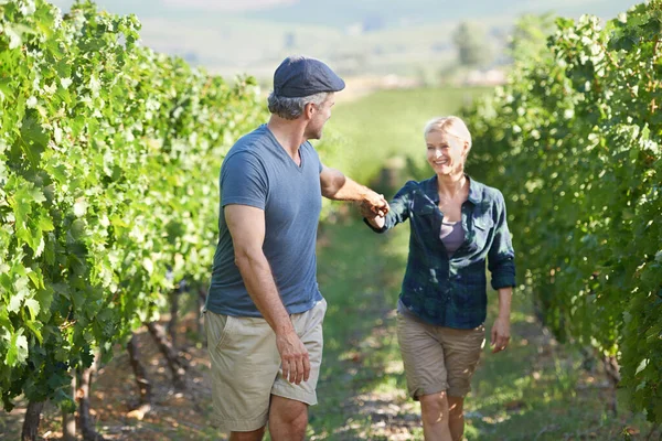 Lead Way Happy Mature Couple Walking Vineyard Together — Stock fotografie