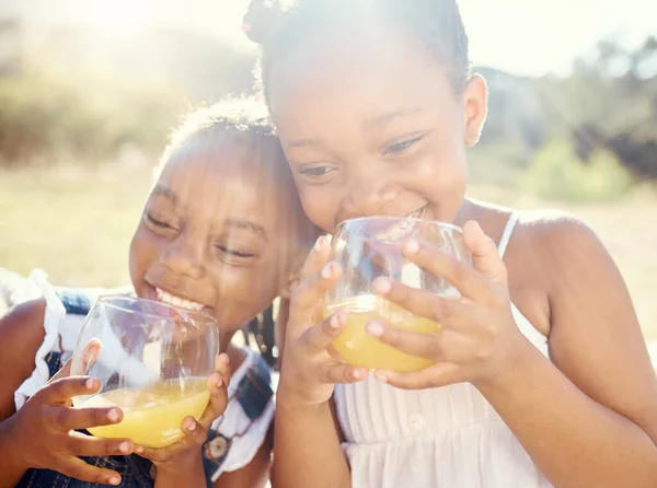 Jus Enfants Frères Sœurs Heureux Lors Pique Nique Dans Soin — Photo