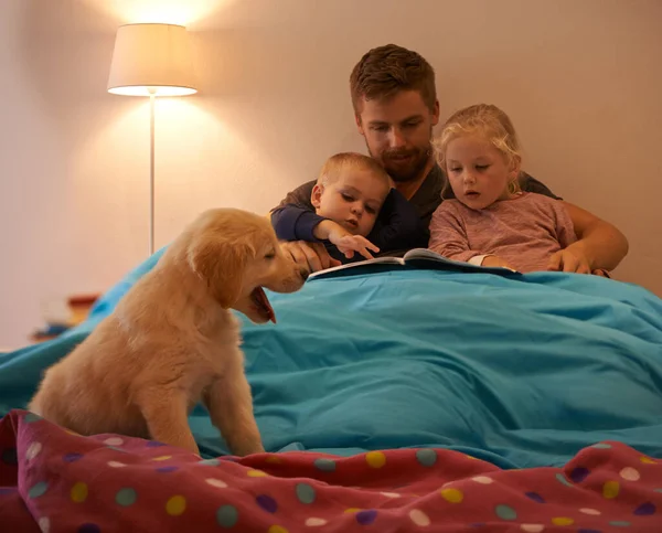 Petit Gars Moelleux Est Prêt Pour Lit Aussi Père Lisant — Photo