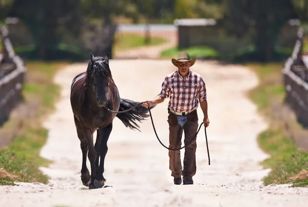 Jego Koń Jest Jego Najlepszym Przyjacielem Zdjęcie Tyłu Kowboja Prowadzącego — Zdjęcie stockowe