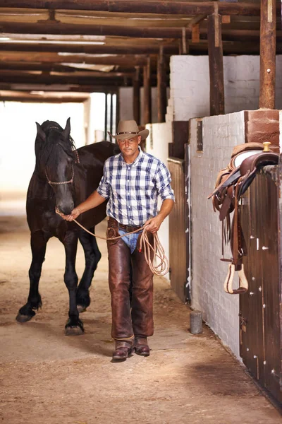 Est Temps Aller Faire Tour Éleveur Attentionné Qui Occupe Cheval — Photo