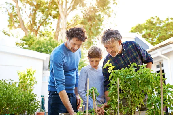 家族の男性は園芸が大好きです 父親と祖父を持つ若い少年の園芸 — ストック写真