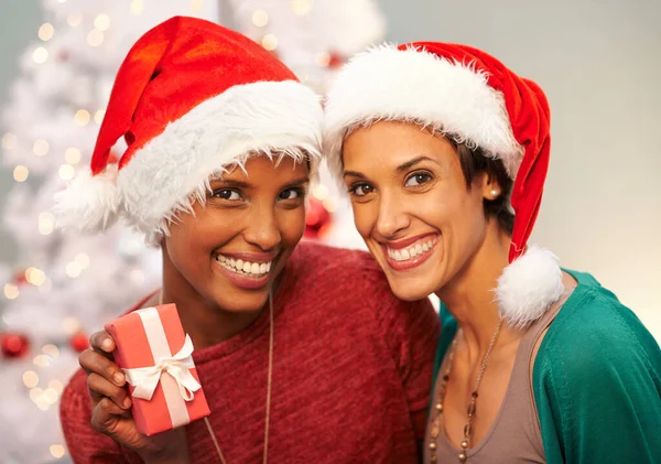 Imádjuk Ünnepi Szezont Egy Portré Két Boldog Fogadóbarátról Karácsonykor — Stock Fotó