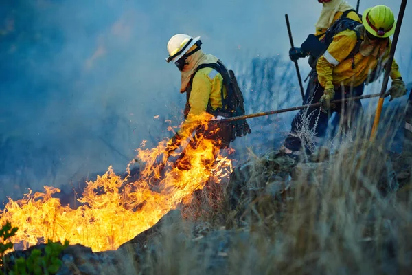 Turning back the flames. fire fighters combating a wild fire