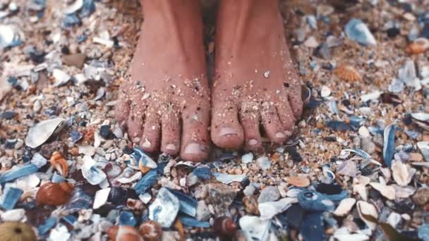 夏休みのビーチで貝殻を持つ砂の中の女性の足 週末にリラックスしたり 自然の中で休暇を旅行しながら 砂浜の足で海沿いの人のつま先 ペディキュア — ストック動画