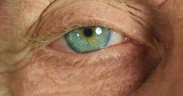 Starší Oční Zrakové Lékařské Vyšetření Světelným Odrazem Detailem Přiblížení Lidskost — Stock video