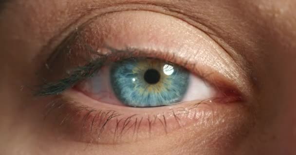 Knipperen Zien Blauw Oog Van Vrouw Voor Zicht Gezondheid Optometrie — Stockvideo