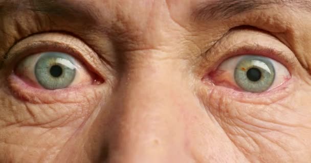 老年人 蓝眼睛或惊讶的面部表情 带有震惊 恐惧或偏执的焦虑 放大图片 皮肤或视觉 为害怕退休的老年人提供令人惊讶的眨眼动作 警报或对坏消息的恐慌 — 图库视频影像
