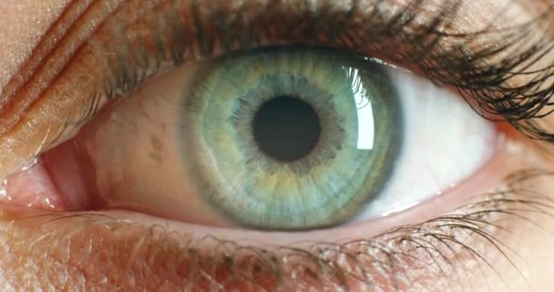 Zoom Nahaufnahme Von Augen Biometrische Innovation Für Digitale Sicherheit Oder — Stockvideo