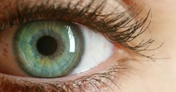 Green Eye Macro Vision Eyes Face Extreme Closeup Sight Awareness — Stock Video