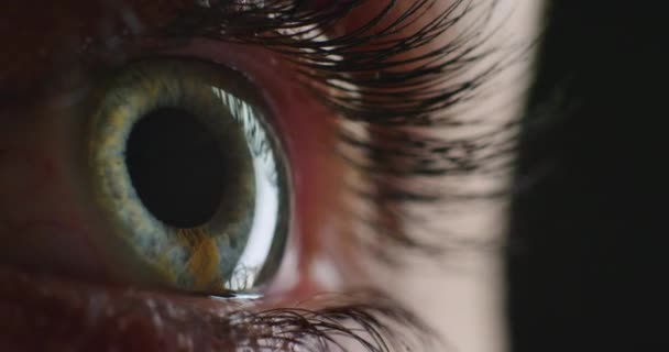 Nsan Görme Yeşil Göz Göz Kirpik Göz Kapağı Göz Sağlığı — Stok video