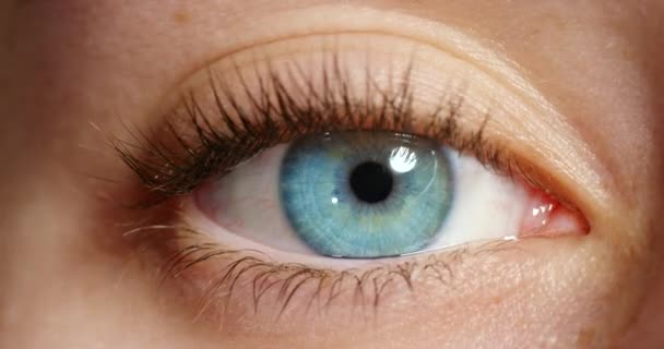 青い目の生体認証 サイバーセキュリティ監視ビジョンと女性の目の閉鎖は角膜を拡大します 自然なヒト網膜解剖学オープン 顔認識眼球焦点とレンズビューAi技術革新 — ストック動画