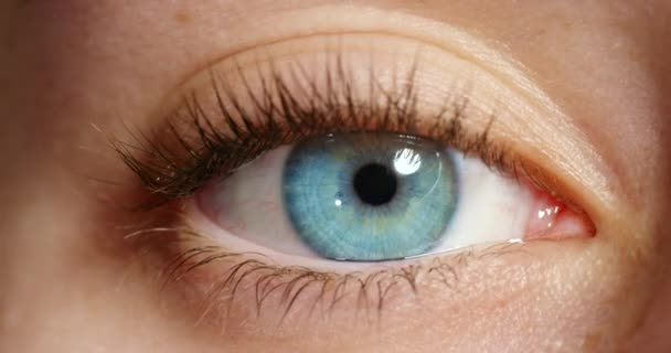 Blauw Oog Biometrische Cybersecurity Surveillance Visie Close Van Vrouwelijke Ogen — Stockvideo