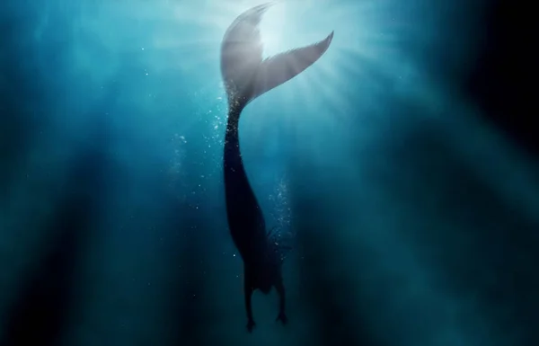 Silhouette Shot Mermaid Swimming Solitude Deep Blue Sea All Design — Stock Photo, Image