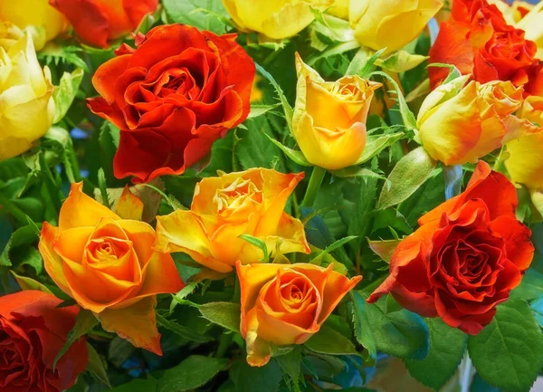 Roses are the perfect gift. Close-up image of a bouquet of yellow and red roses