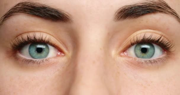 Olhos Verdes Mulher Cabelo Sobrancelha Microblading Beleza Cuidado Pele Rosto — Vídeo de Stock