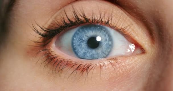 Жінка Розплющує Блакитні Очі Показуючи Рух Вен Райдужних Очей Під — стокове відео