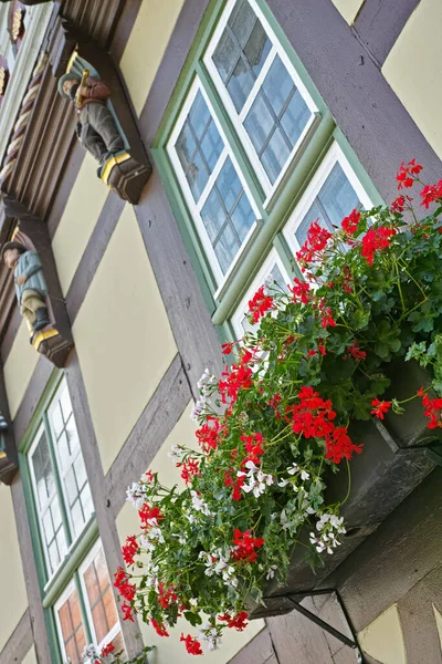Osobliwe Wiejskie Życie Kwiaty Zdobiące Okno Zewnątrz Starego Budynku Niski — Zdjęcie stockowe