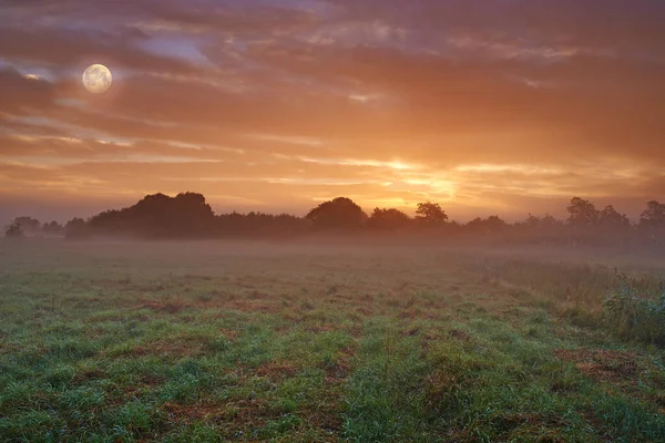 Туманное Утро Ферме Туманный Рассвет Над Спокойной Фермерской Сценой — стоковое фото