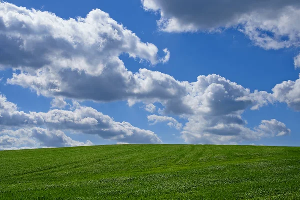 Let your mind wander with the clouds...Beautiful white clouds over a bright green meadow