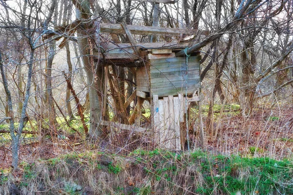 Treehouse Medio Nada Una Vieja Casa Árboles Bosque — Foto de Stock