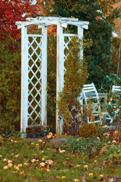 Beautiful Garden Denmark Decorated Furniture Trellis — стоковое фото