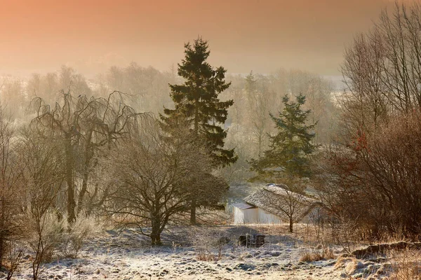 太陽はこの冬の日に輝いている 風光明媚な冬の風景 — ストック写真