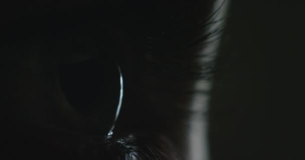Ojos Visión Oscuridad Con Ojo Una Mujer Una Prueba Examen — Vídeos de Stock