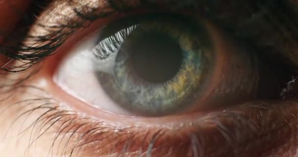 Visione Battito Ciglia Occhio Blu Della Donna Vista Salute Optometria — Video Stock