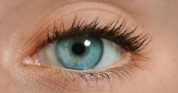 Mulher Olho Azul Piscadela Movimento Com Visão Maquiagem Cosméticos Rímel — Vídeo de Stock