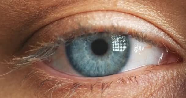 Wajah Wanita Mata Berwarna Biru Dan Fokus Penglihatan Dan Lensa — Stok Video