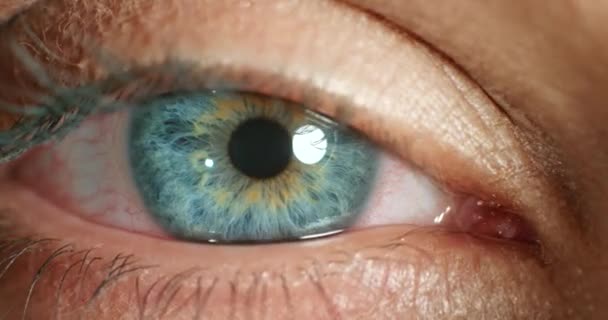 Ojos Azules Pupila Dilatadora Lente Contacto Una Mujer Para Mejorar — Vídeo de stock