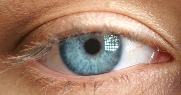 Macro Blauw Oog Iris Visie Van Een Leerling Optometrist Examen — Stockvideo