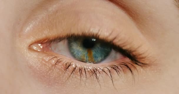 Göz Kırp Mavi Göz Kadın Iris Makrosu Ile Göz Kırp — Stok video