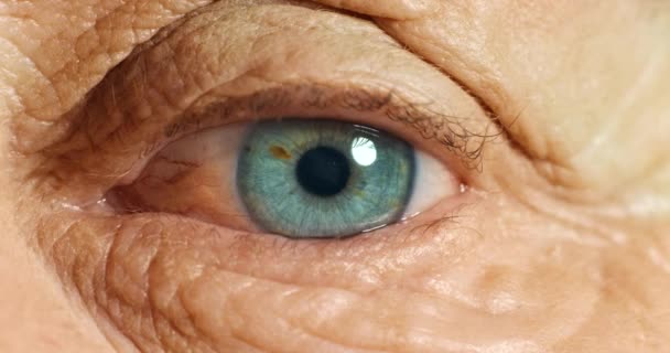 シニア人の眼球の移動眼 視力とビジョン 思考や熟考しながら 周りを見て点滅している高齢者の青い目の健康 医療眼の検査とマクロのクローズアップ — ストック動画