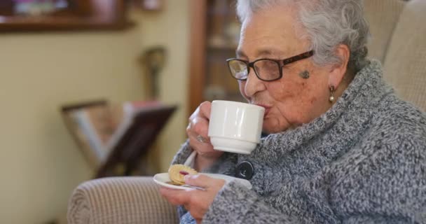 Thee Senior Vrouw Uit Polen Een Bejaardentehuis Een Bejaardentehuis Waar — Stockvideo