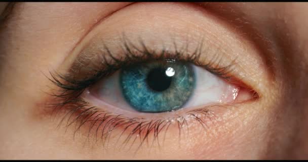 Estrés Ojos Azules Macro Iris Con Mirada Asustada Ante Terror — Vídeo de stock