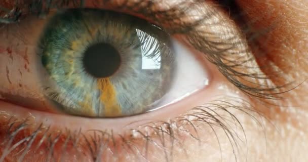 Optometriste Göz Doktorunda Yapılan Testte Gözde Gözde Gözde Gözde Odaklanma — Stok video