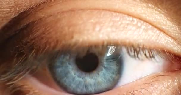 蓝眼睛 视力和人类视觉意识中的眨眼和虹膜 注重光学 健康瞳孔运动 光学和光学观察中宏观眼睑张开的闭合肖像 — 图库视频影像