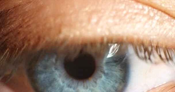 Olhos Cor Azul Foco Visão Lentes Contato Para Ver Cuidados — Vídeo de Stock