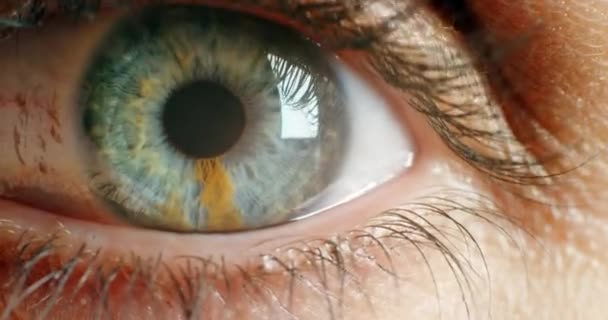 扩张和虹膜在视觉上的感知和瞳孔聚焦与细节人类眼睑打开的视线 光学透视 光学测量或护目镜下聚焦视力的特写 — 图库视频影像